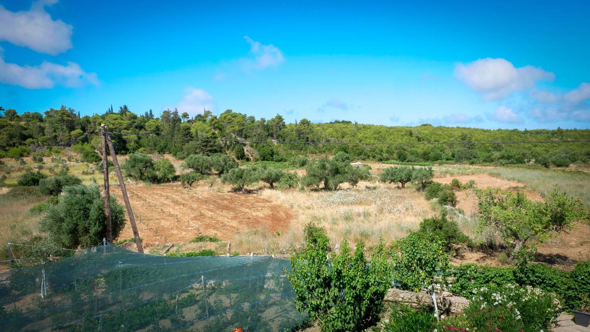Fterini Apartments Sterna & Alletri Agios Leon 외부 사진