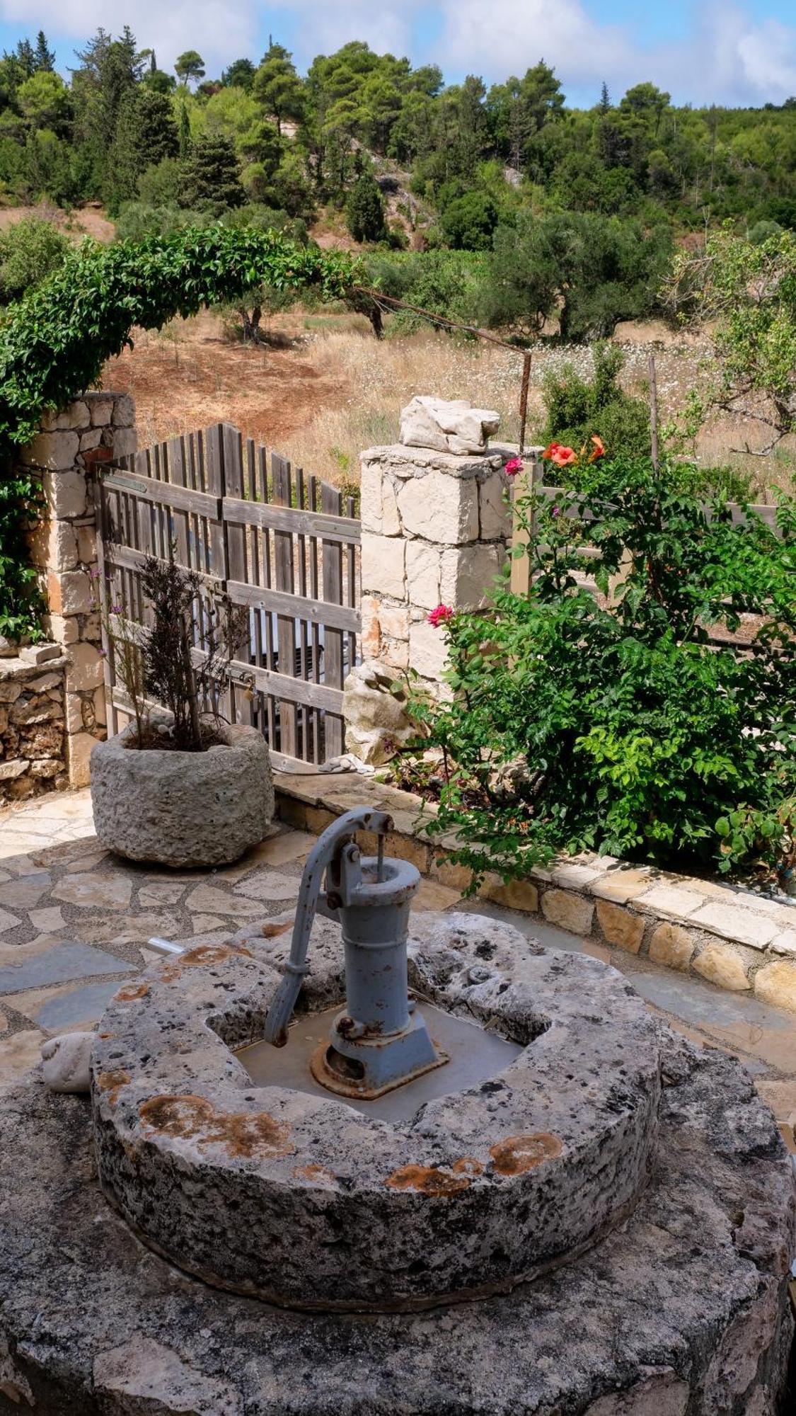Fterini Apartments Sterna & Alletri Agios Leon 외부 사진