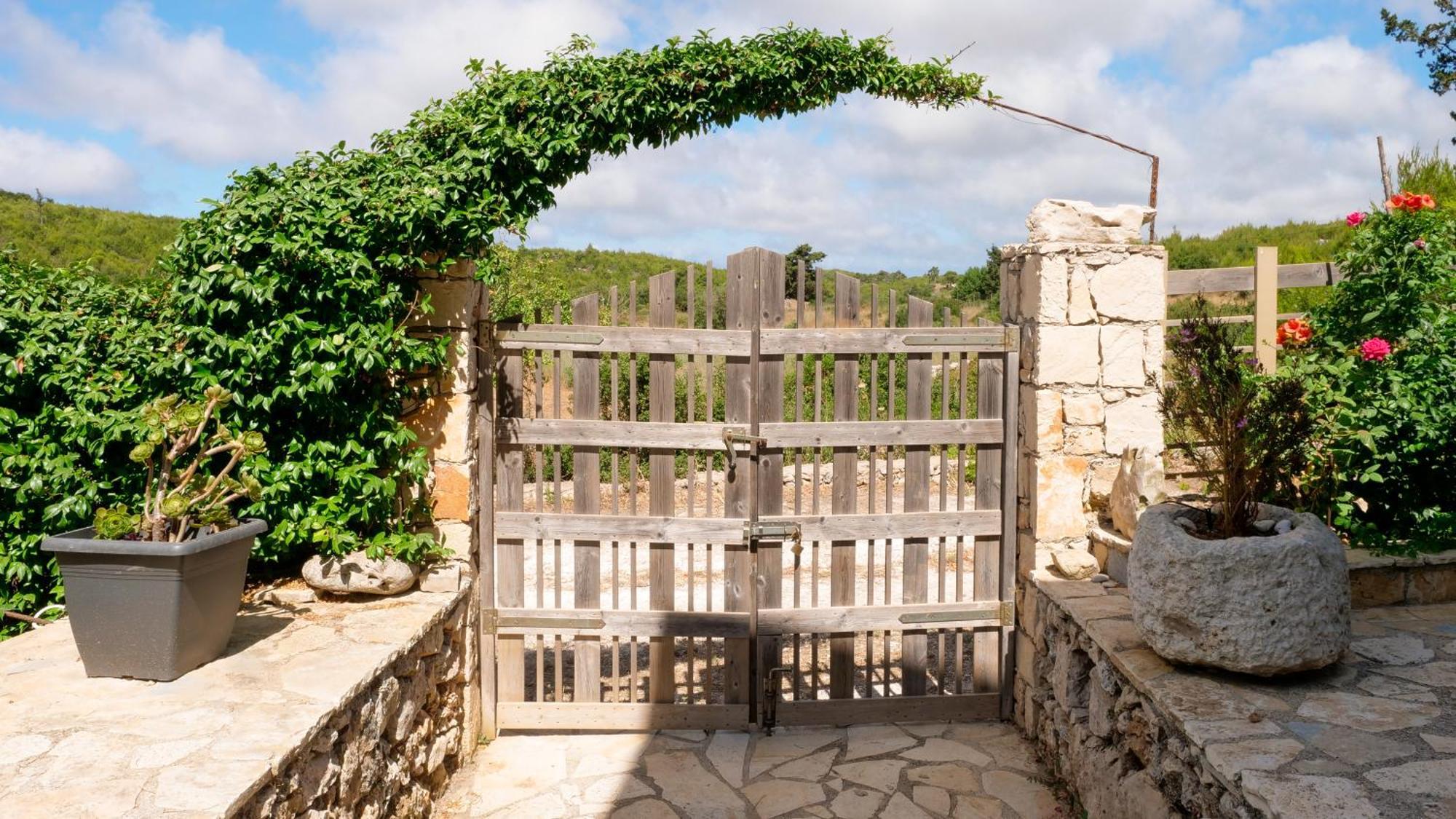 Fterini Apartments Sterna & Alletri Agios Leon 외부 사진