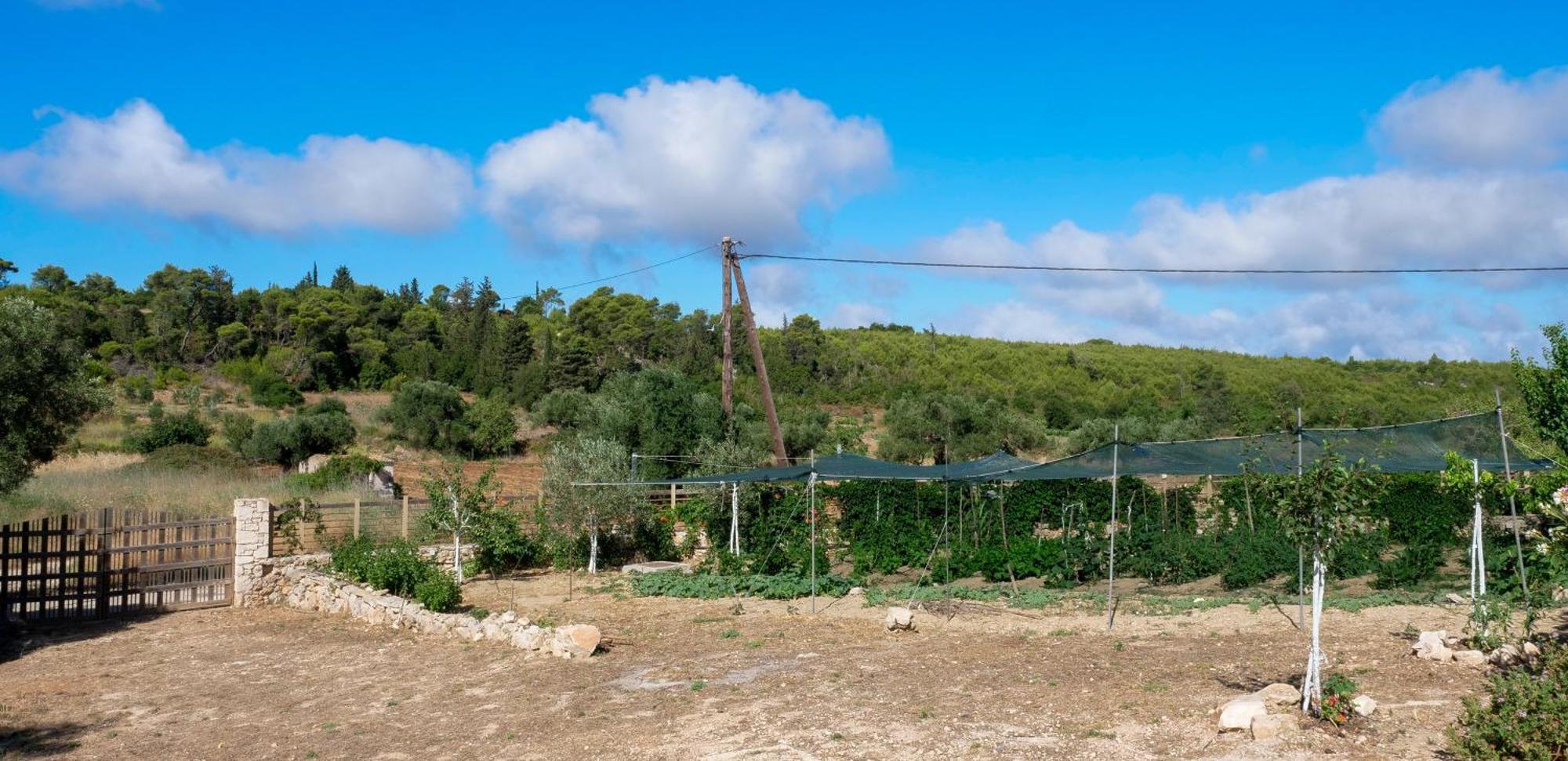 Fterini Apartments Sterna & Alletri Agios Leon 외부 사진